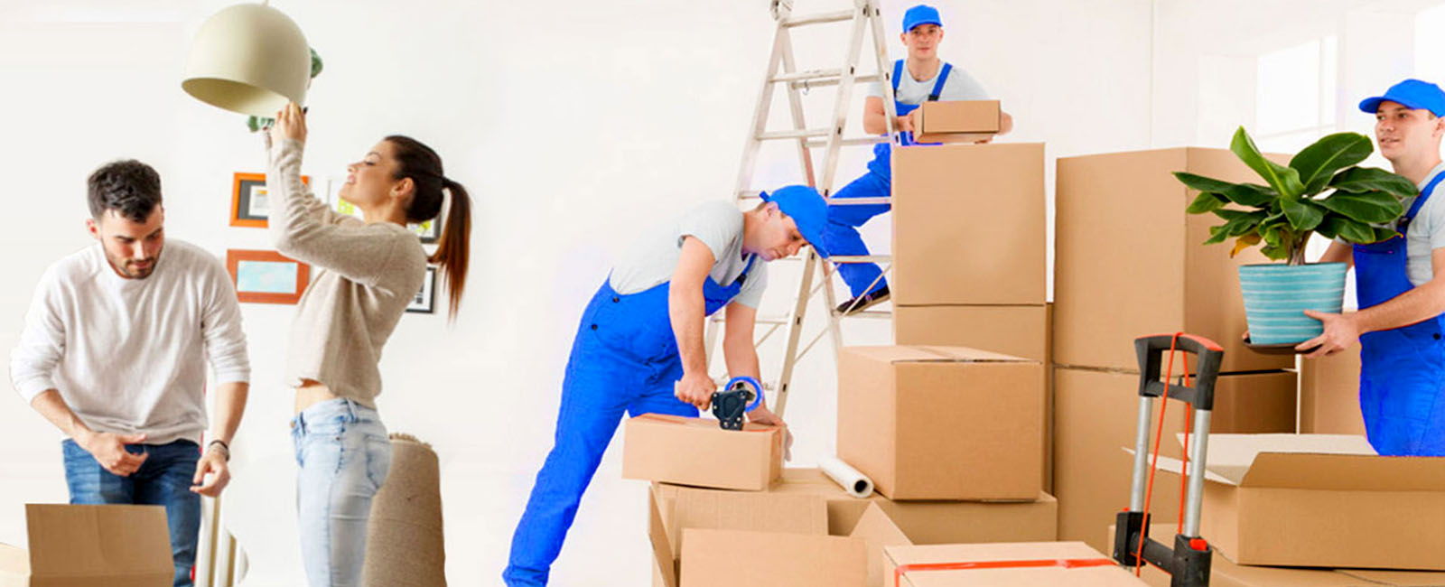 Acn International Packers and Movers 