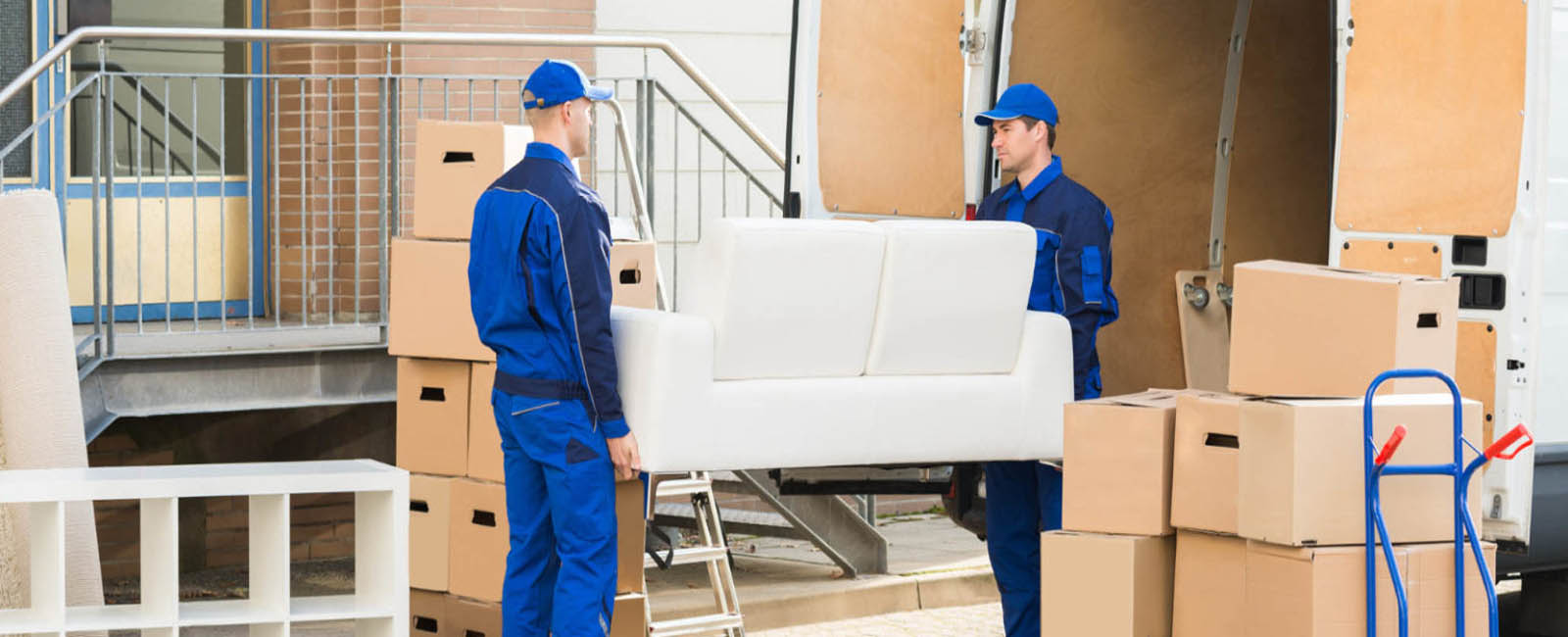 Acn International Packers and Movers 