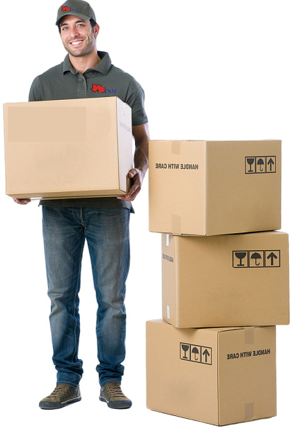 Acn International Packers and Movers, Acn International Packers and Movers